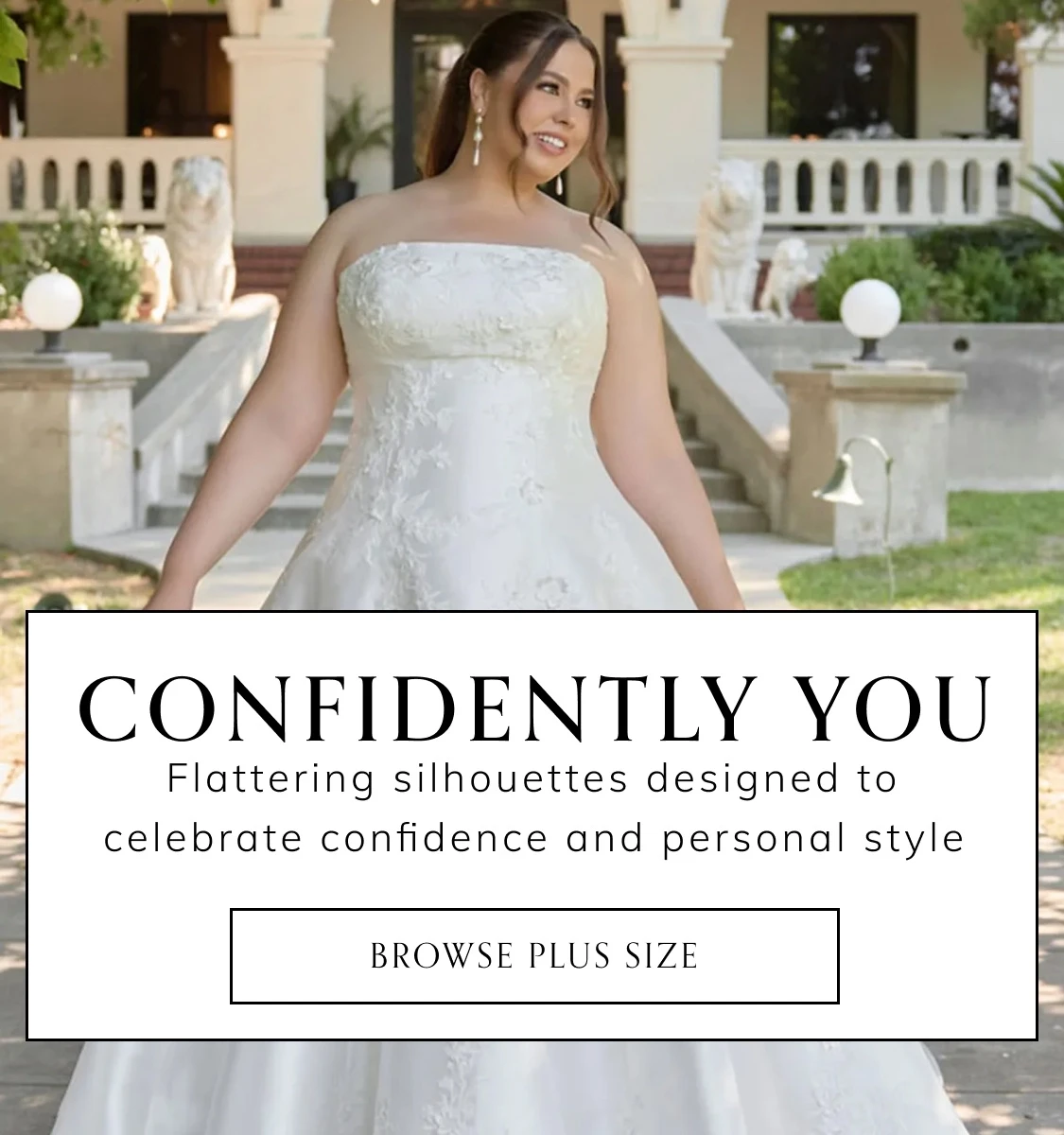 Plus Size Banner Spring 2026