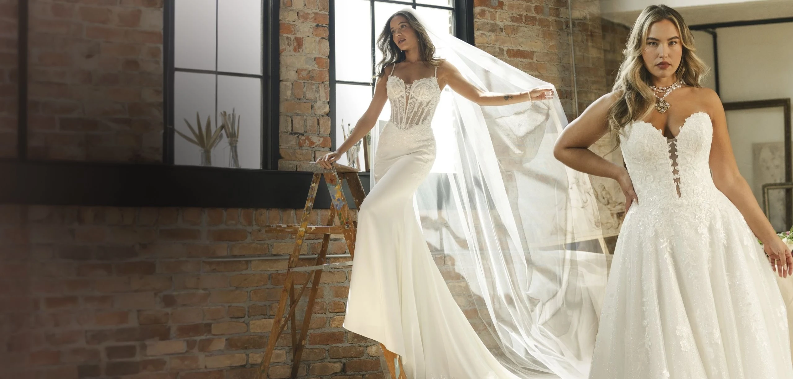 Carousel Desktop Image 1